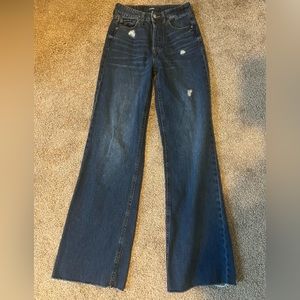 aero high rise wide leg jeans